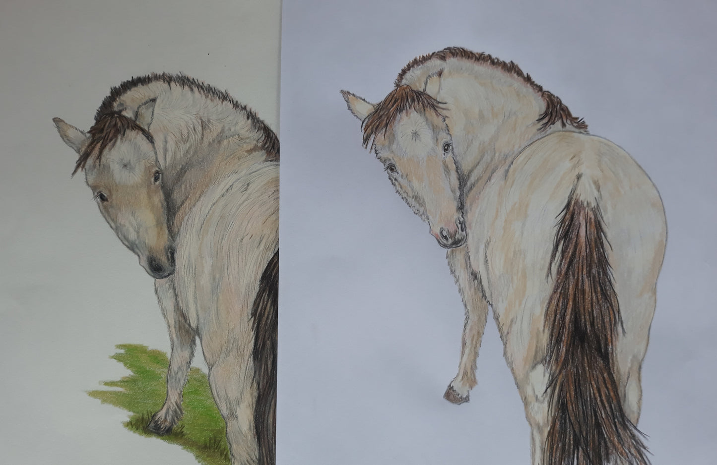 Artwork: Equine & Owner Portrait Commission — Original Hand-Drawn Color Pencil Art