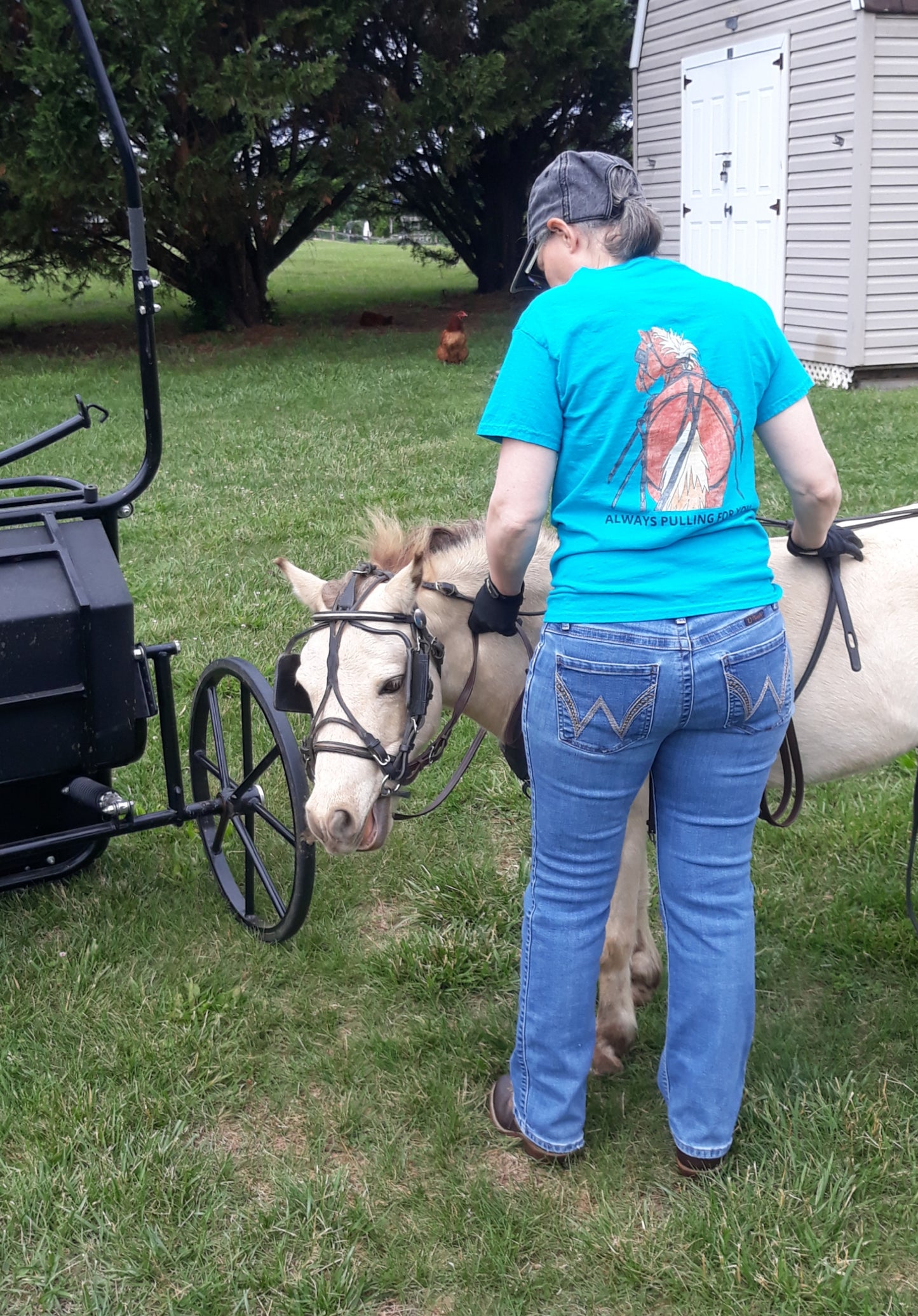 The Cart Horse (Sorrel)  Unisex classic tee