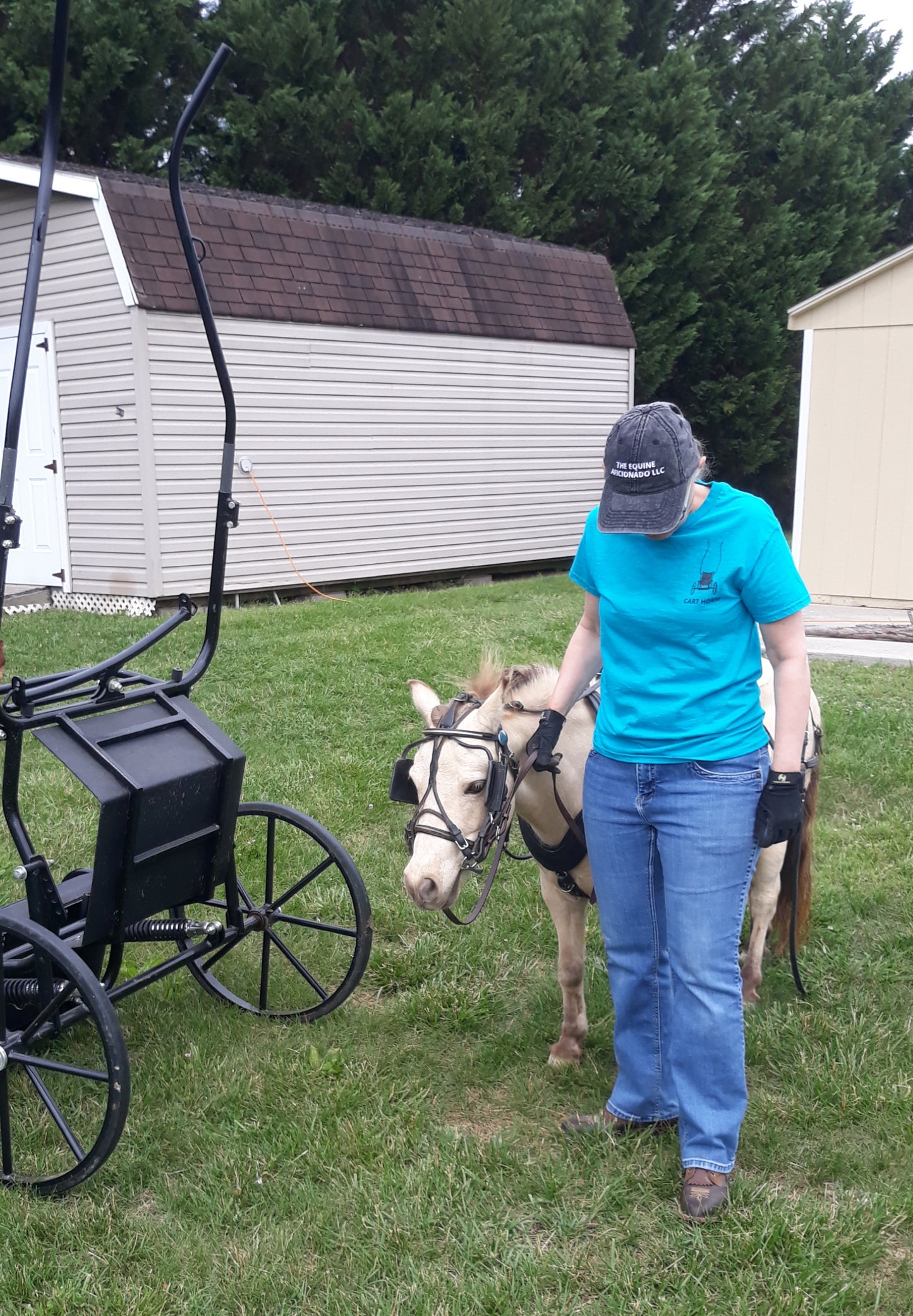 The Cart Horse (Sorrel)  Unisex classic tee