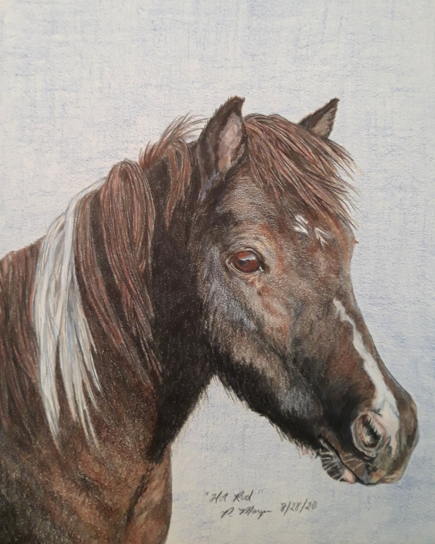 Artwork: Custom Equine Portrait Commission — Original Hand-Drawn Color Pencil Art