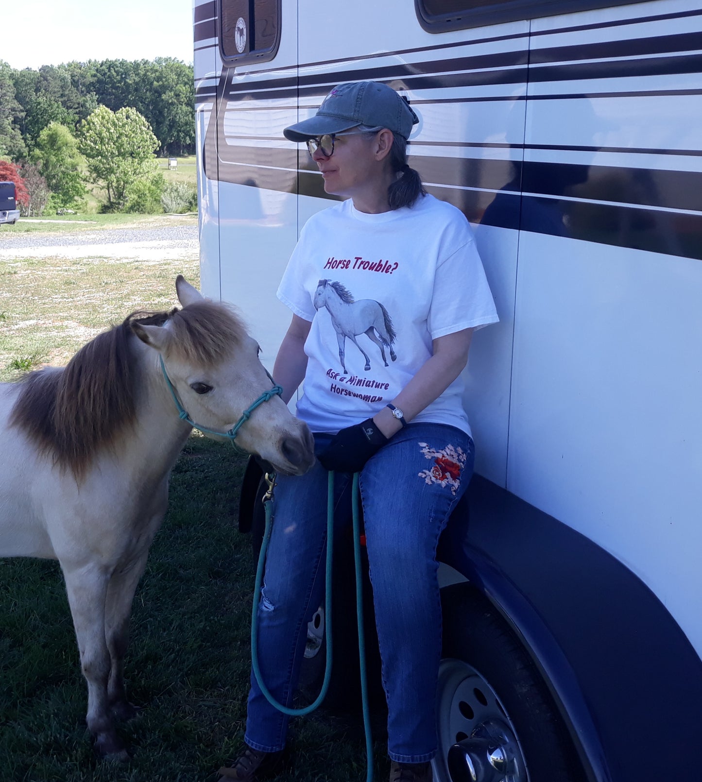 Horse Problem Solver Unisex classic tee