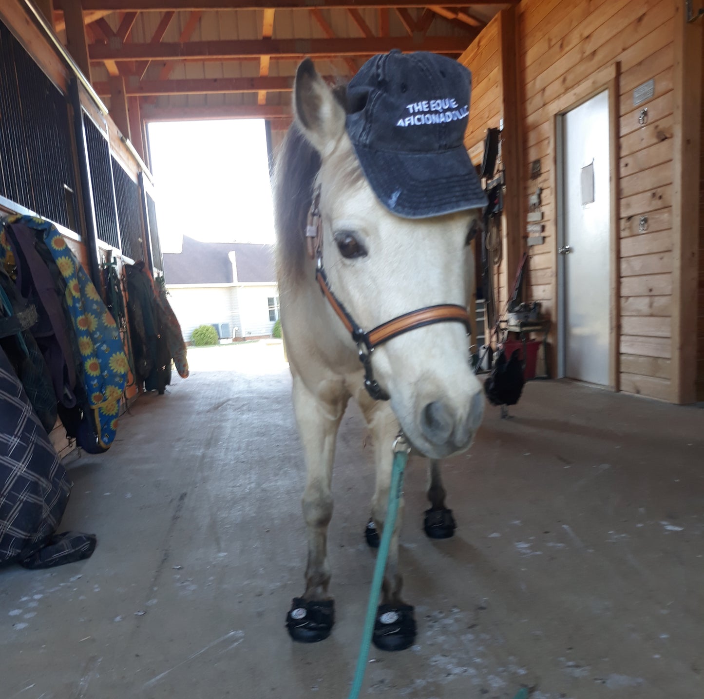 The Equine Aficionado Vintage Cotton Twill Cap